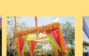 Greenery Wall with Marigold Swags - Delhi Event Management