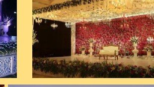 Reception Floral Wall Stage - Delhi Event Management
