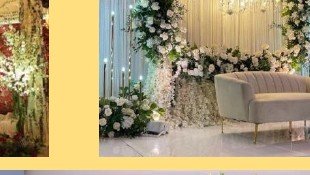 Greenery Arch Stage - Delhi Event Management